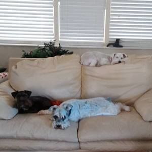 Meet your Posher, Marji